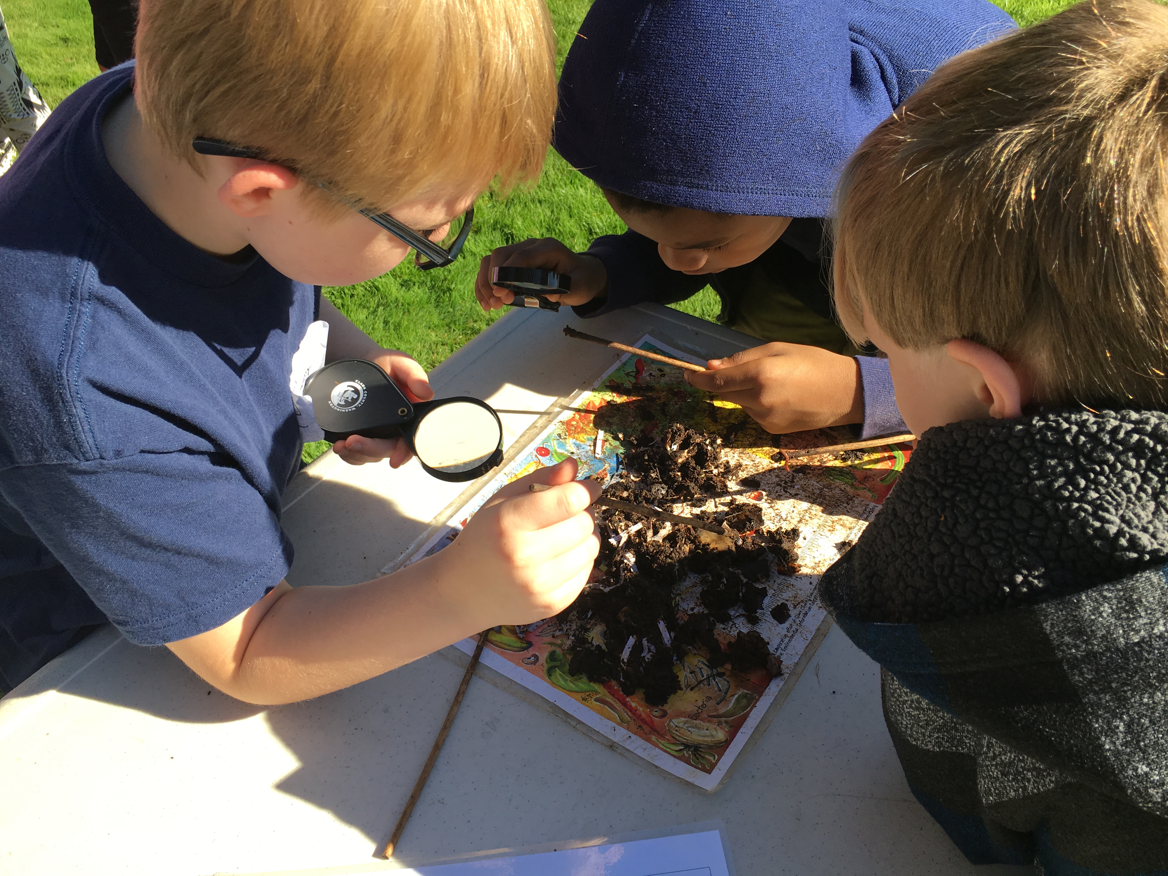 Compost and Decomposers (Gr. 2–3)